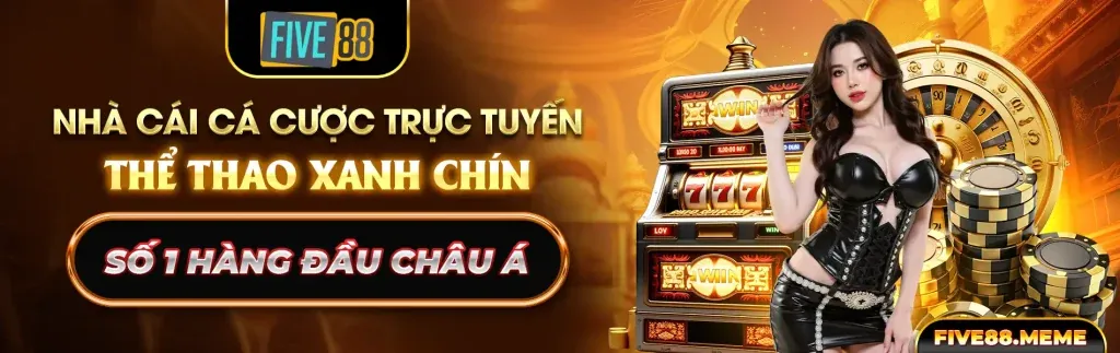Chiến lược cá cược đá gà Thomo hiệu quả