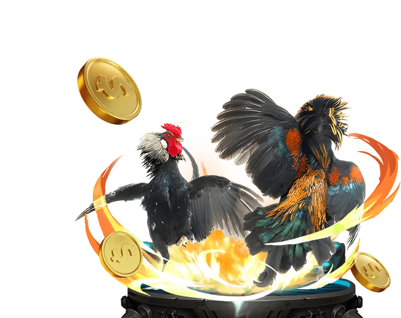 Đấu trường đá gà Thomo trực tiếp tại Win2026