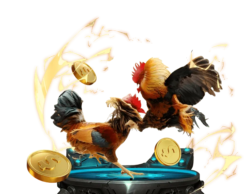 Bảng chiến lược đặt cược đá gà Thomo trực tiếp